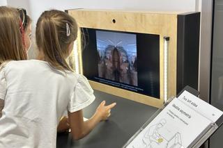 sowa nowe skalmierzyce