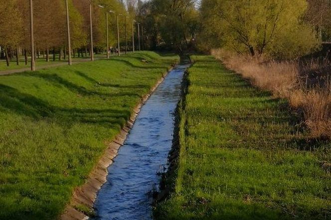 Bulwary nad Dobrzynką w Pabianicach