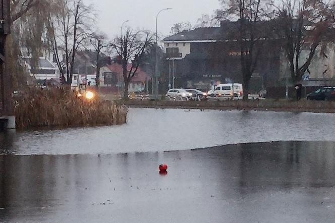 O krok od tragedii na stawach przy ul. Mickiewicza. Straż Miejska uratowała dwójkę dzieci