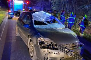 Awionetka miała się rozbić w okolicach Gorzyc