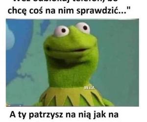 Najlepsze memy o żonie. Te obrazki rozbawią nie tylko mężczyzn do łez