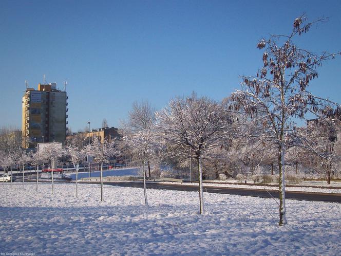 Zima w Szczecinie