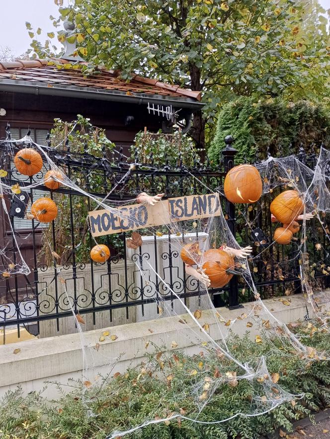 Willa na Jaśkowej Dolinie znów ozdobiona. Tym razem przechodniów zaskakują halloweenowe straszydła!