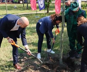 Obietnica frekwencyjna dotrzymana! Prezydentki Gdańska i Gdyni zasadziły drzewo