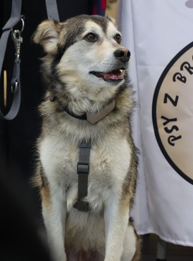 ZooPark ponownie przyciągnął do Targów Lublin tłumy miłośników zwierząt