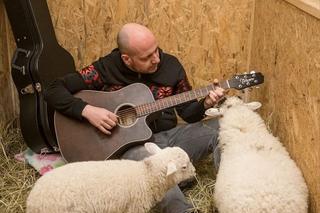 Leczy owce muzyką