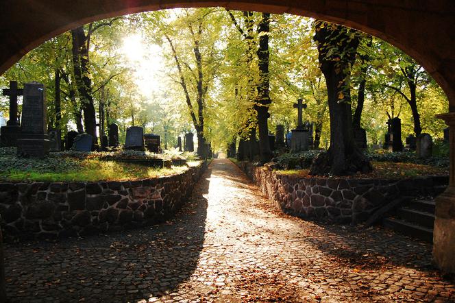 W Lublinie można znaleźć groby z dwóch miejskich cmentarzy