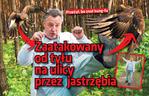 Zaatakowany od tyłu  na ulicy przez  jastrzębia