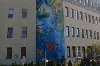 Mural z Aleksandrem Dobą na ścianie Morskiej Szkoły Podstawowej na gdańskim Ujeścisku