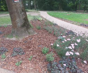 Park im. Szafera w Rzeszowie 