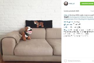 Zofia Ślotała i jej mieszkanie