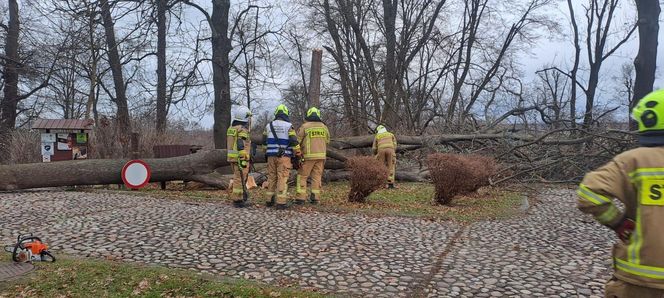 Potężne wichury przechodzą przez Małopolskę. Strażacy interweniowali ponad 120 razy