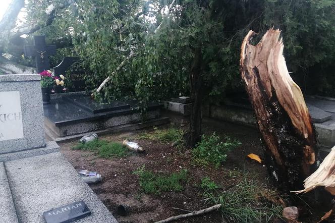 Burza nad Gnieznem spowodowała masę zniszczeń