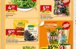 Warzywa i owoce z Polski taniej w Auchan. Promocje od 03.07 nawet do 50%!