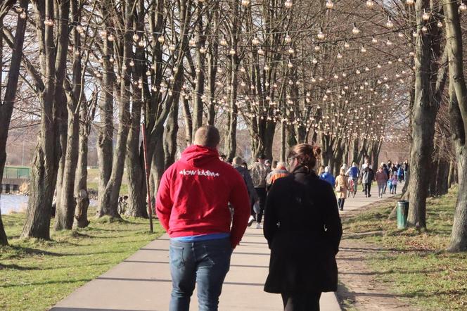 Z takiej pogody żal nie skorzystać. Nad Zalewem Zamborzyckim tłum spacerowiczów! [GALERIA]