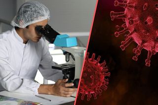 Rzadki wirus szybko się rozprzestrzenia, zmarło już ponad 40 osób. WHO bije na alarm