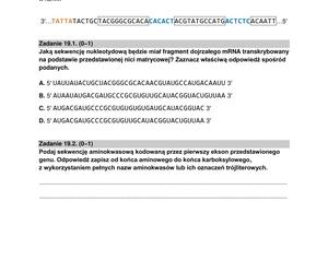 Matura 2024: biologia. Arkusze CKE i odpowiedzi. Poziom rozszerzony [Formuła 2015]