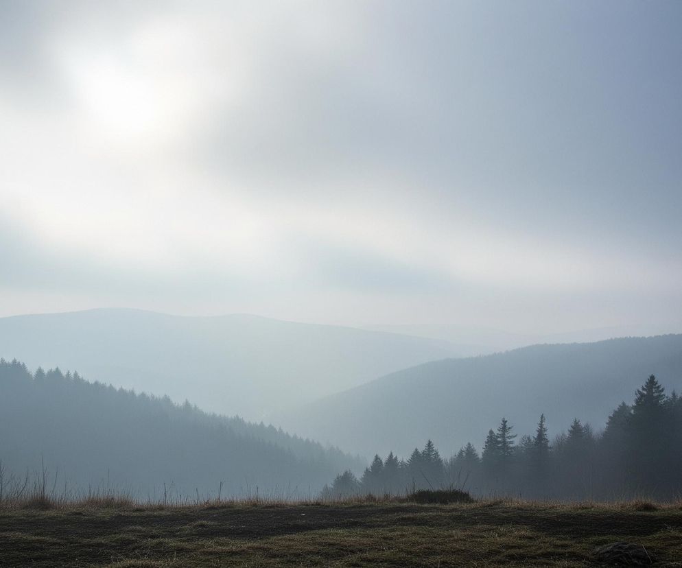 Górski krajobraz przedstawia mglistą dolinę otoczoną zalesionymi zboczami. Na pierwszym planie widoczny jest fragment suchej, trawiastej ziemi w odcieniach brązu i zieleni. Dalej, w centralnej części zdjęcia, rozciąga się dolina z gęstym lasem iglastym, którego drzewa stopniowo zanikają w błękitno-szarej mgle. Horyzont tworzą kolejne pasma górskie, zamazane i blednące w oddali. Niebo, zajmujące górną część kadru, jest jasne, przysłonięte mgłą, z jaśniejszym obszarem w lewej górnej części, sugerującym położenie słońca.