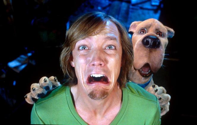 Jak dziś wygląda Kudłaty ze "Scoby Doo"? Matthew Lillard mocno się zmienił! 