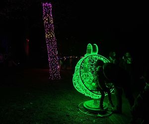 Park Miliona Świateł w Orientarium Zoo Łódź