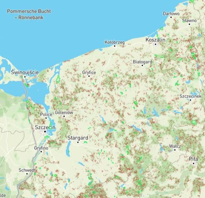 Mapa wycinki lasów 2025 - woj. zachodniopomorskie