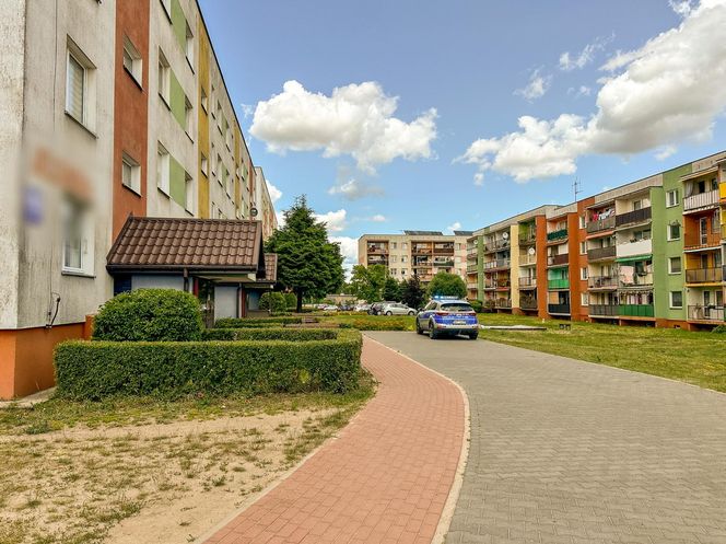 Tragiczny finał związku. Zabił narzeczoną młotkiem