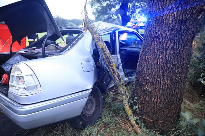 Wielkopolskie. Mercedes uderzył w drzewo! 26-letni pasażer nie żyje! 