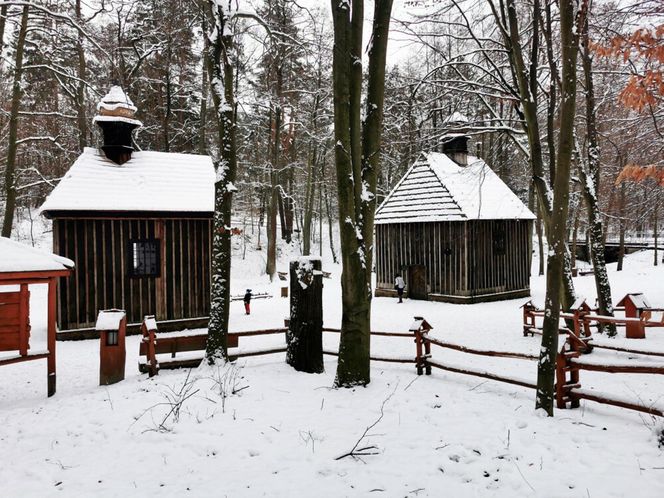 To polskie miasto bije rekordy popularności wśród turystów. W lutym otworzy się tu jeden z największych parków rozrywki w Europie