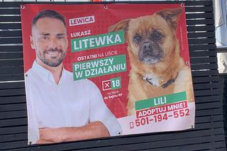 Plakaty wyborcze nadal w całej Polsce. Kto je musi posprzątać? 