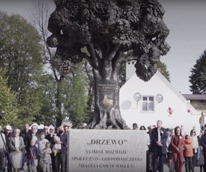 Pomnik Drzewa w Wieleniu: nowy trend rewitalizacji przestrzeni miejskiej? 