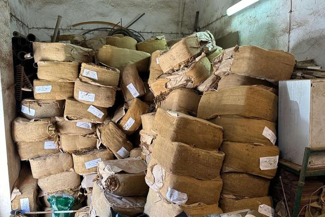 Zlikwidowano nielegalną krajalnię tytoniu w Bytomiu. Przejęto blisko 10 ton suszu tytoniowego