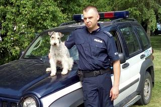 Pies na policyjnej emeryturze
