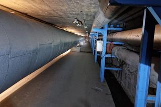 Strażacy ruszyli na ratunek dwóm sarenkom. Były uwięzione w kanale ciepłowniczym 