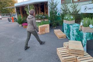 Leśnicy z Olsztyna rozdają za darmo sadzonki. To już piąta edycja akcji