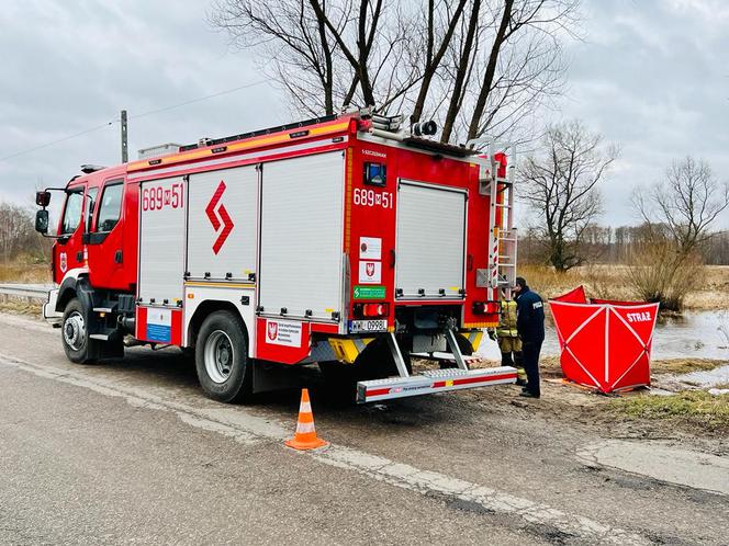 Makabryczne odkrycie pod Warszawą. Z bagna wyłowili zwłoki mężczyzny