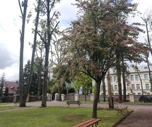 Sanktuarium Maryjne - Salezjanie Różanystok