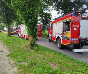 Pod Bydgoszczą autobus podmiejski uderzył w drzewo. Kilkanaście osób jest rannych!