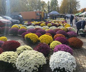 Tak wyglądają przygotowania do Wszystkich Świętych w Warszawie. Zobacz zdjęcia