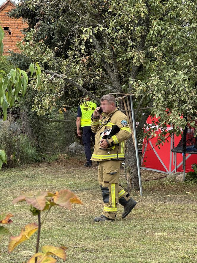 Wypadek awionetki w Krzycku Wielkim
