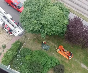 Matka rocznego dziecka nie chciała otworzyć drzwi kuratorowi sądowemu