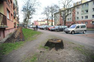 Zrobiony w żołądź