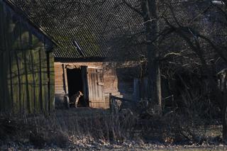 Magiczne Podlasie Południowe