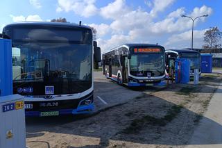 Trzy nowe i ekologiczne autobusy elektryczne jeżdżą już ulicami Siedlec!