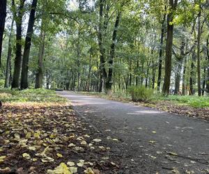 Park Kopernika w Gorzowie w jesiennej scenerii