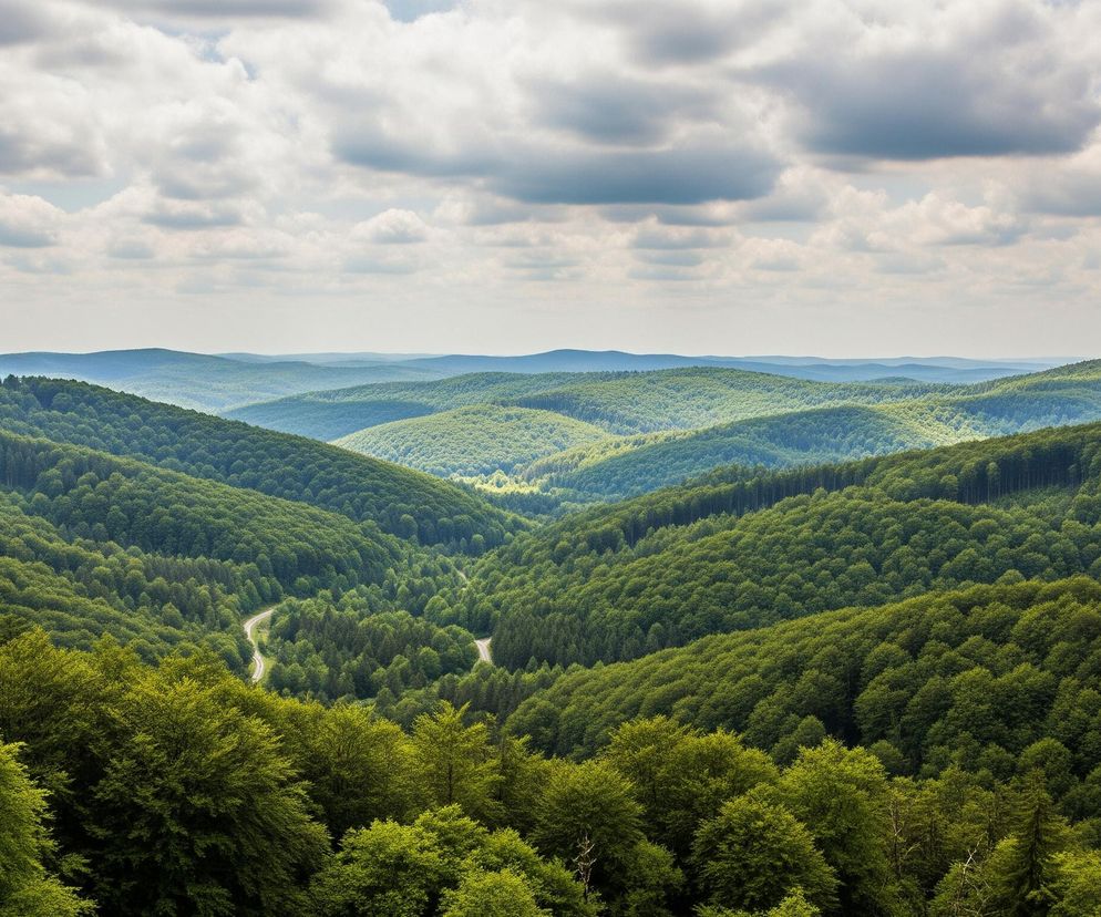 Szeroki plan przedstawia rozległy, pagórkowaty krajobraz porośnięty gęstymi lasami liściastymi, dominują tu odcienie zieleni. Kręta droga asfaltowa wije się przez dolinę w centralnej części zdjęcia, ukazując jasnoszarą powierzchnię. W tle horyzont tworzą kolejne pasma górskie, stając się coraz jaśniejsze i bardziej błękitne w oddali, co świadczy o głębi perspektywy. Nad całością rozciąga się niebo pokryte licznymi, białymi i szarymi chmurami, z fragmentami błękitnego nieba widocznymi między nimi.