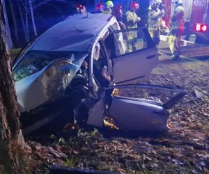 Białowieża. Auto uderzyło w drzewo. W środku 4 Syryjczyków. Wszyscy trafili do szpitali