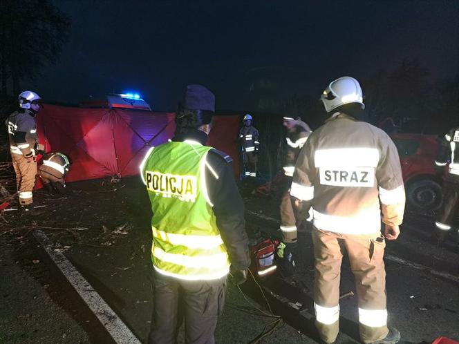 Pomorskie. Tragiczny wypadek koło wsi Zdrada [29.11.2022]