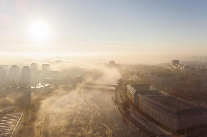 Wrocław budzi się do życia