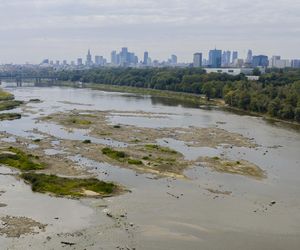 Wisła wysycha. Tak źle nie było nigdy w historii. Zdjęcia z lotu ptaka obrazują skalę suszy