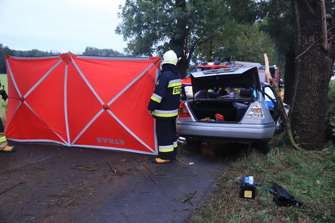 Wielkopolskie. Mercedes uderzył w drzewo! 26-letni pasażer nie żyje! 